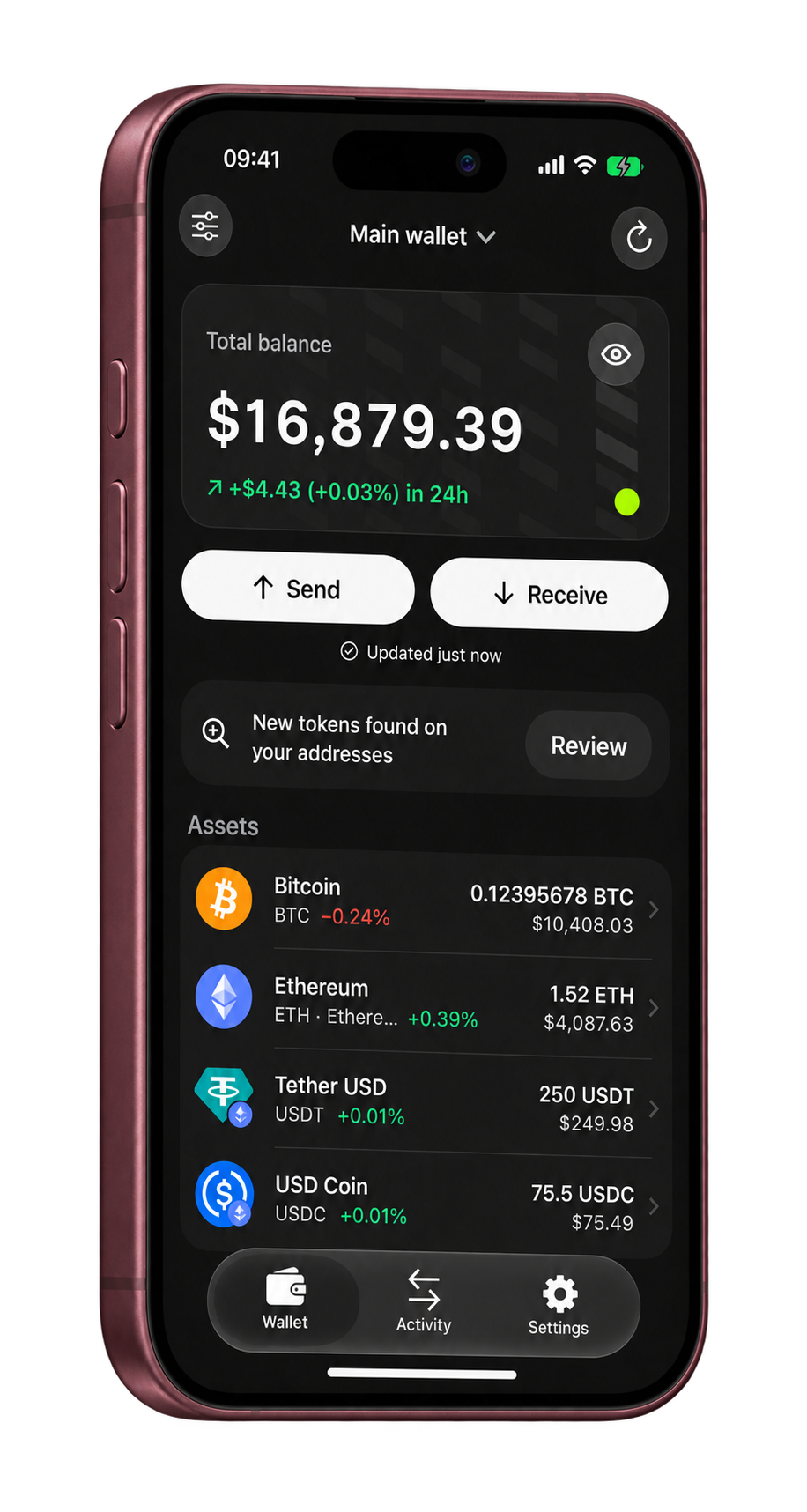 iPhone 18 Pro showing Hinadex Wallet